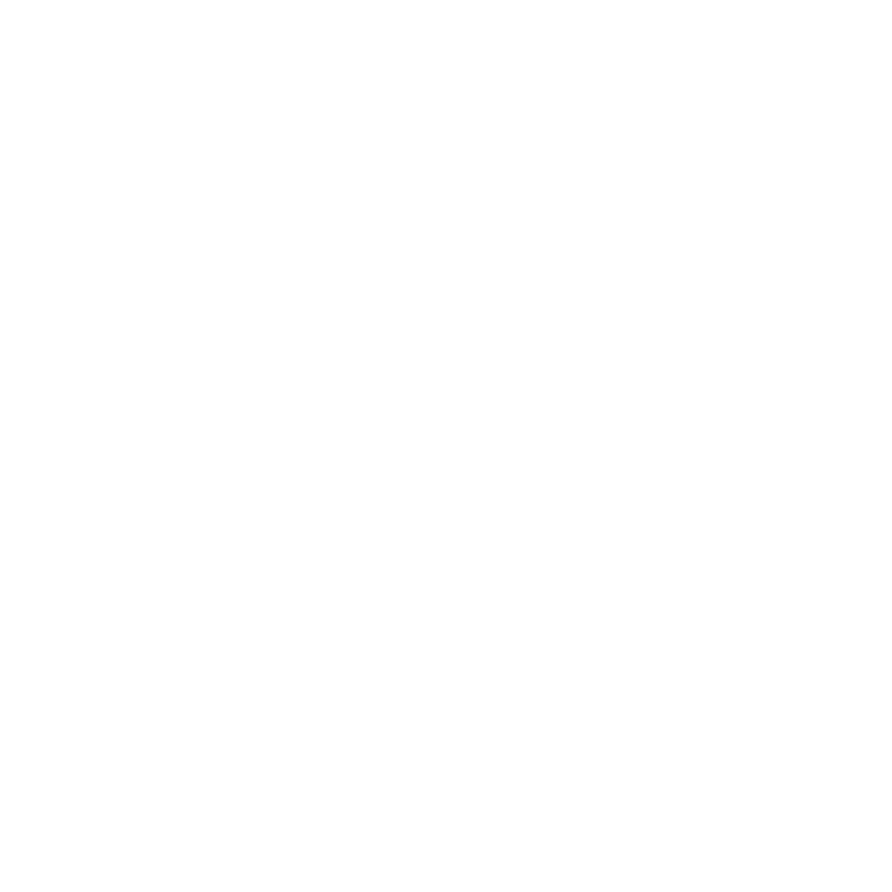 MPG-IT-Infrastructure-white-icon-01