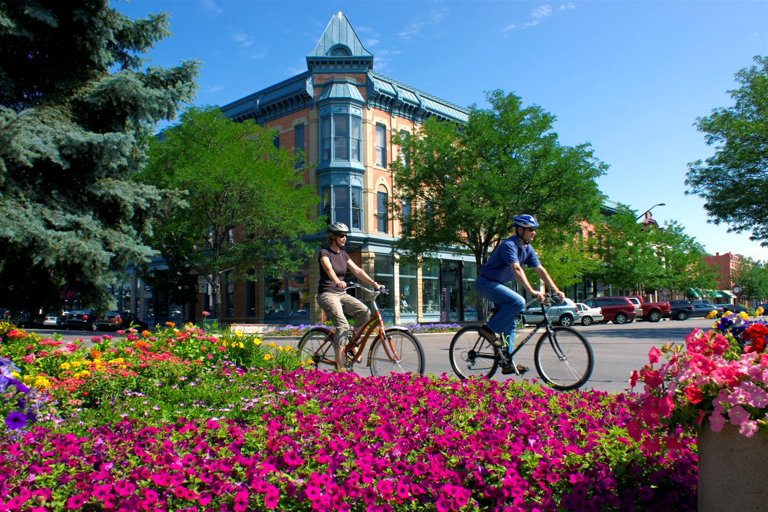 manpower fort collins manpower fort collins