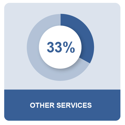 MPG_Q4_US_MEOSPieIcon8_31_22_OtherServices-05