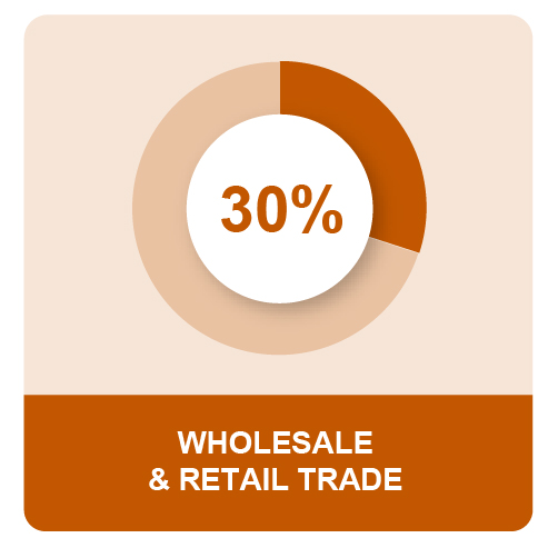 MPG_Q4_US_MEOSPieIcon8_31_22_WholesaleRetail